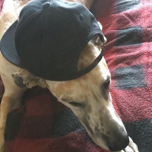 Meet your Posher, Logan